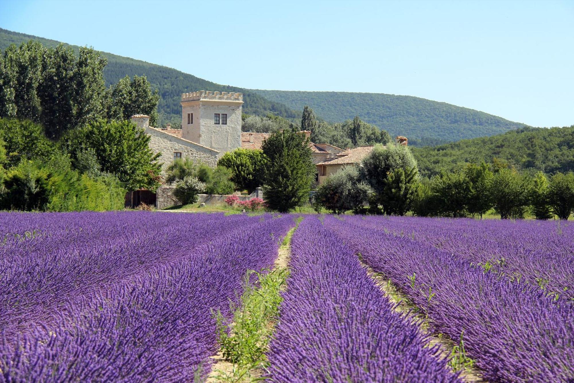 La Colombiere - Vue Imprenable Sur L'Ardeche - Tres Calme - Tres Bien Situe - Residence Privee Монтелимар Экстерьер фото